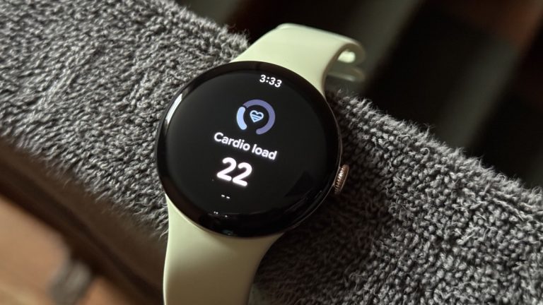 Fitbit Is Finally Fixing Its Cardio Load Problem_6922631d1a285.jpeg