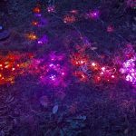 I’ve Tested All the Permanent Outdoor Holiday Lights and Here’s What I’d Buy_692262b79e611.jpeg
