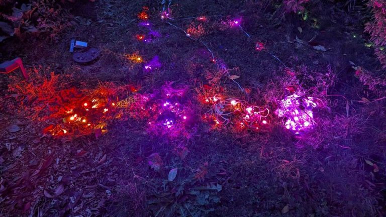 I’ve Tested All the Permanent Outdoor Holiday Lights and Here’s What I’d Buy_692262b79e611.jpeg