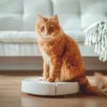 The Best Robot Vacuums I’ve Tested_692262309b796.jpeg
