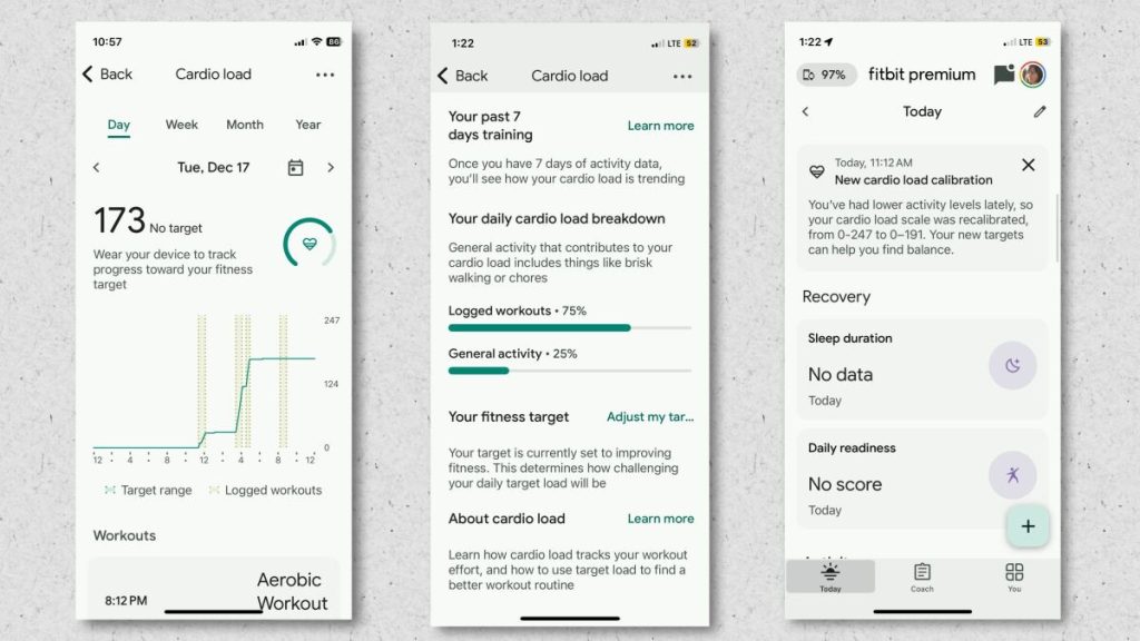 What ‘Cardio Load’ Really Means in the Fitbit App_69226317b578d.jpeg