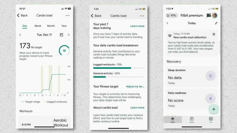 What ‘Cardio Load’ Really Means in the Fitbit App_69226317b578d.jpeg